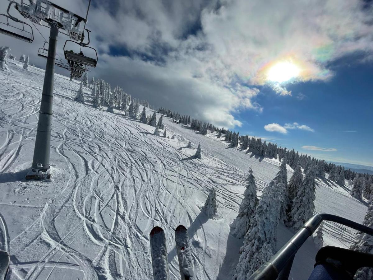 Pano Kopaonik Panorama Leilighet Eksteriør bilde